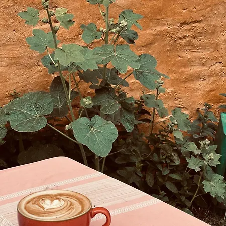 Bygagergaard منزل ريفي Askeby